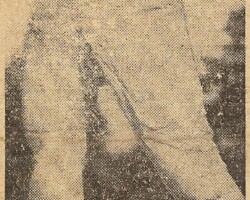 Biff was also a football player at W-L, playing halfback and defensive back.