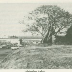 Abingdon 1982 (Arlington Historical Magazine)