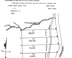 Shown are the lots of the five living children of John T. Birch who inherited his property in Rosslyn. It's been described, to put the location in perspective, that somewhere on lot No. 1 or 2 sits the Iwo Jima and on No. 5 would be the location of today's Netherlands Carillon. Lot 5 was adjacent to the Custis-Lee property. Randolph Birch is believed to have lived on this land his entire life.